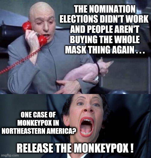 Dems Trying Again | THE NOMINATION ELECTIONS DIDN'T WORK 
AND PEOPLE AREN'T BUYING THE WHOLE MASK THING AGAIN . . . ONE CASE OF 
MONKEYPOX IN 
NORTHEASTERN AMERICA? RELEASE THE MONKEYPOX ! | image tagged in dr evil and frau,liberals,democrats,biden,congress,voter | made w/ Imgflip meme maker