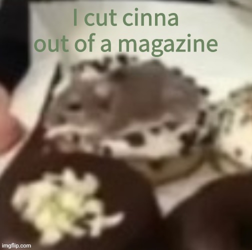 aww the mouse | I cut cinna out of a magazine | image tagged in aww the mouse | made w/ Imgflip meme maker