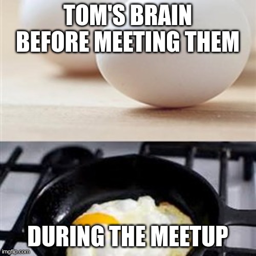 Brain, Brain on Drugs (egg) | TOM'S BRAIN BEFORE MEETING THEM DURING THE MEETUP | image tagged in brain brain on drugs egg | made w/ Imgflip meme maker