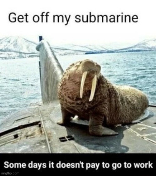 Work day | image tagged in submissions,problem,walrus | made w/ Imgflip meme maker