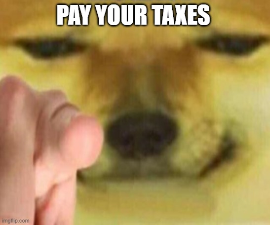 Cheems Pointing At You | PAY YOUR TAXES | image tagged in cheems pointing at you | made w/ Imgflip meme maker