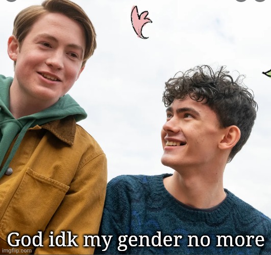 Nick and Charli | God idk my gender no more | image tagged in nick and charli | made w/ Imgflip meme maker
