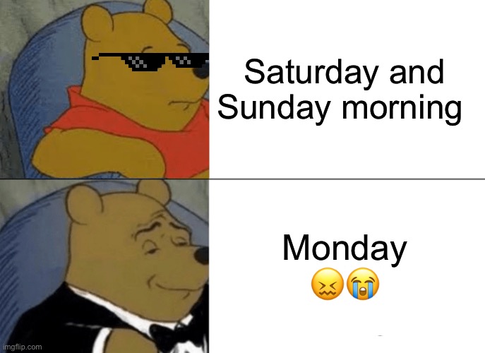 Winnie Pooh reaction | Saturday and Sunday morning; Monday 😖😭 | image tagged in memes,tuxedo winnie the pooh | made w/ Imgflip meme maker