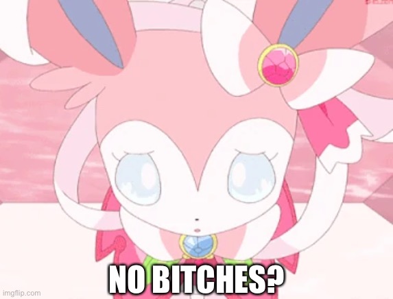 The life of a Pokémon is difficult |  NO BITCHES? | image tagged in no bitches,pokemon,sylveon,weird | made w/ Imgflip meme maker