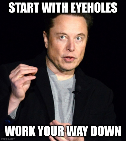 musk | START WITH EYEHOLES WORK YOUR WAY DOWN | image tagged in musk | made w/ Imgflip meme maker