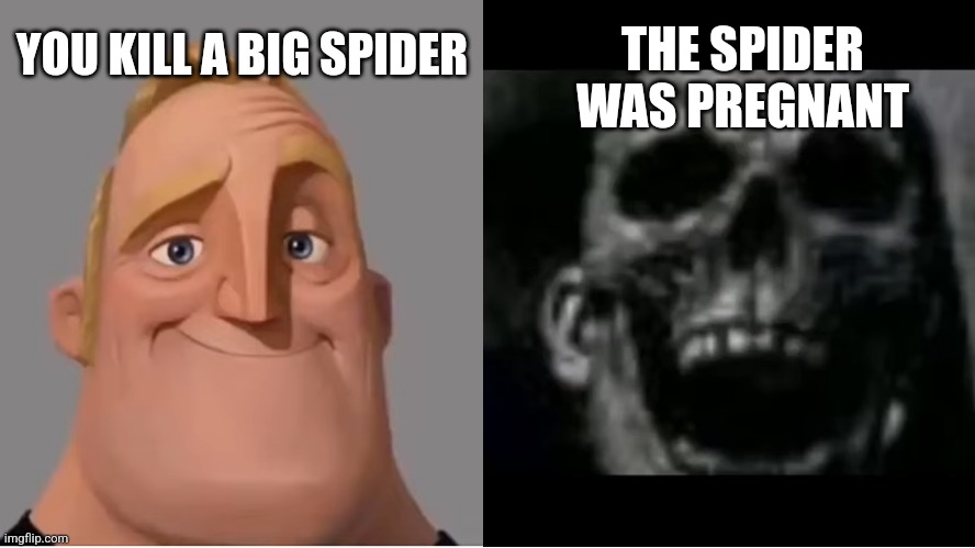 Here's a meme about spiders! |  YOU KILL A BIG SPIDER; THE SPIDER WAS PREGNANT | image tagged in mr incredible becoming uncanny small size version,spider | made w/ Imgflip meme maker