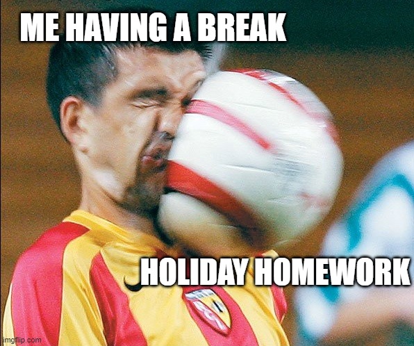 getting hit in the face by a soccer ball | ME HAVING A BREAK; HOLIDAY HOMEWORK | image tagged in getting hit in the face by a soccer ball | made w/ Imgflip meme maker