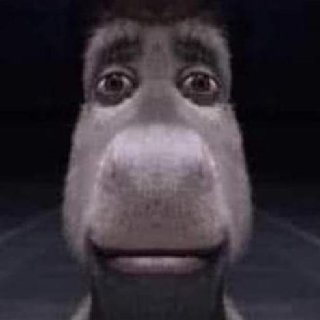 Front Facing Donkey From Shrek Blank Meme Template