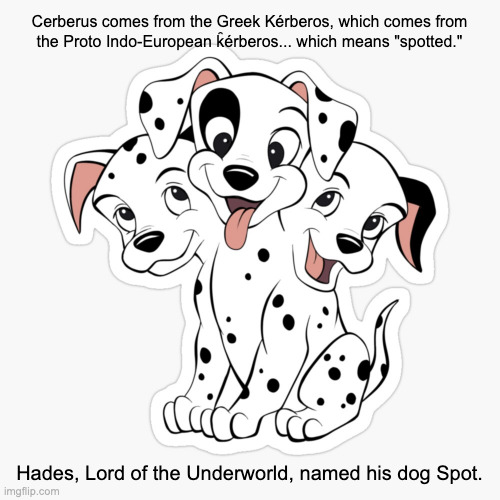 Cerberus the Dalmatian | Cerberus comes from the Greek Kérberos, which comes from
the Proto Indo-European k̑érberos... which means "spotted."; Hades, Lord of the Underworld, named his dog Spot. | image tagged in cerebus the dalmatian | made w/ Imgflip meme maker