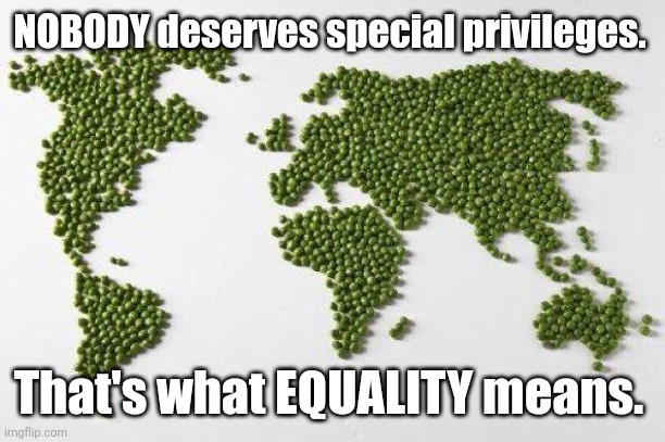 NOBODY deserves special privileges. That's what EQUALITY means. | image tagged in whirled peas | made w/ Imgflip meme maker