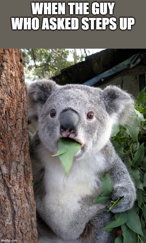 Surprised Koala |  WHEN THE GUY WHO ASKED STEPS UP | image tagged in memes,surprised koala | made w/ Imgflip meme maker