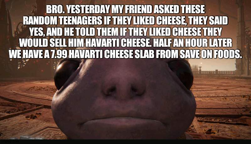deadass | BRO. YESTERDAY MY FRIEND ASKED THESE RANDOM TEENAGERS IF THEY LIKED CHEESE, THEY SAID YES, AND HE TOLD THEM IF THEY LIKED CHEESE THEY WOULD SELL HIM HAVARTI CHEESE. HALF AN HOUR LATER WE HAVE A 7.99 HAVARTI CHEESE SLAB FROM SAVE ON FOODS. | image tagged in staring albinauric | made w/ Imgflip meme maker