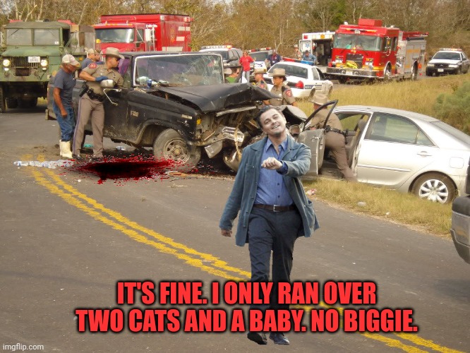 It'll be fine | IT'S FINE. I ONLY RAN OVER TWO CATS AND A BABY. NO BIGGIE. | image tagged in leo car wreck,car wreck,road rage,itll be fine | made w/ Imgflip meme maker