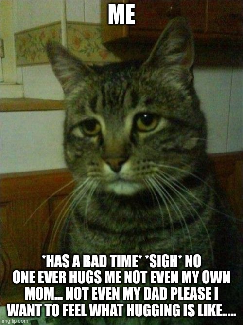 ... | ME; *HAS A BAD TIME* *SIGH* NO ONE EVER HUGS ME NOT EVEN MY OWN MOM... NOT EVEN MY DAD PLEASE I WANT TO FEEL WHAT HUGGING IS LIKE..... | image tagged in i don want you here,go away | made w/ Imgflip meme maker