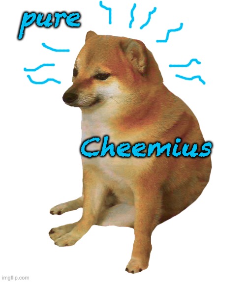 cheems |  pure; Cheemius | image tagged in cheems,genius | made w/ Imgflip meme maker