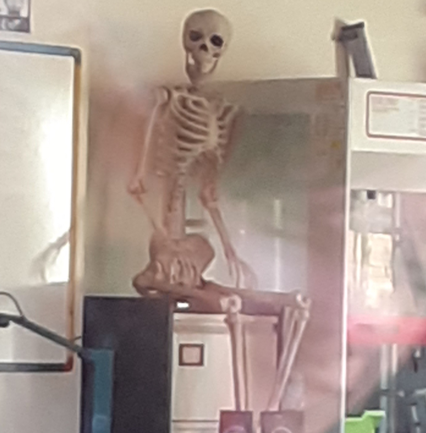 The skeleton saw Blank Meme Template