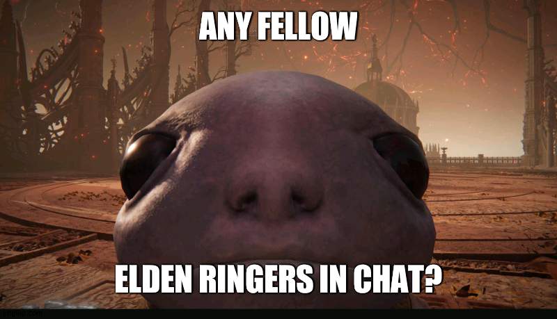 the elden bling | ANY FELLOW; ELDEN RINGERS IN CHAT? | image tagged in staring albinauric | made w/ Imgflip meme maker
