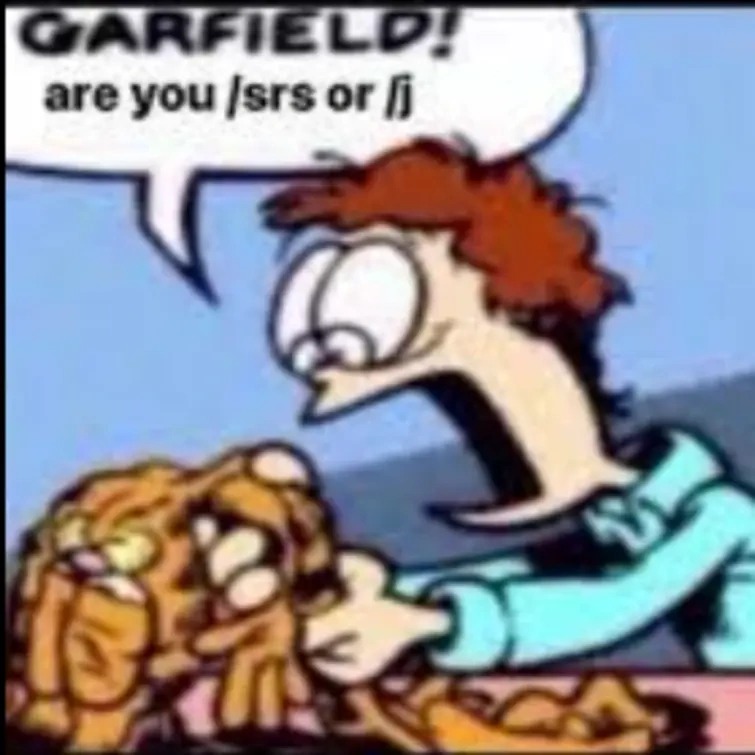 High Quality Garfield are you /srs or /j Blank Meme Template