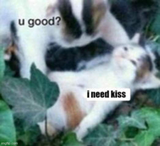 i need kiss | made w/ Imgflip meme maker