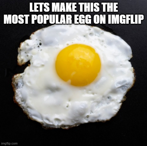 Vote for egg | LETS MAKE THIS THE MOST POPULAR EGG ON IMGFLIP | image tagged in eggs,upvote | made w/ Imgflip meme maker