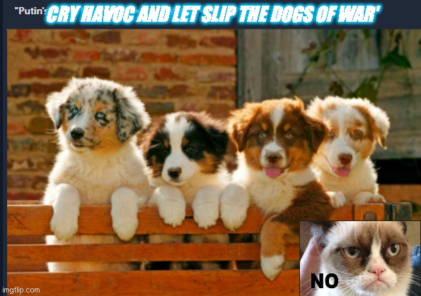 Ukraine | CRY HAVOC AND LET SLIP THE DOGS OF WAR' | image tagged in ukraine | made w/ Imgflip meme maker