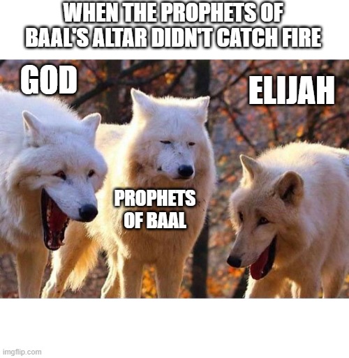 One of my favorite Bible events. | WHEN THE PROPHETS OF BAAL'S ALTAR DIDN'T CATCH FIRE; GOD; ELIJAH; PROPHETS OF BAAL | image tagged in laughing wolf | made w/ Imgflip meme maker