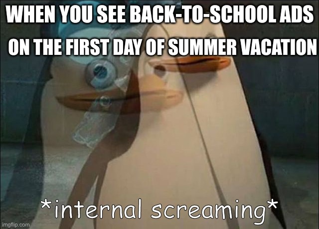 This shouldn't happen IRL (I hope It won't) | ON THE FIRST DAY OF SUMMER VACATION; WHEN YOU SEE BACK-TO-SCHOOL ADS | image tagged in private internal screaming,school,high school | made w/ Imgflip meme maker