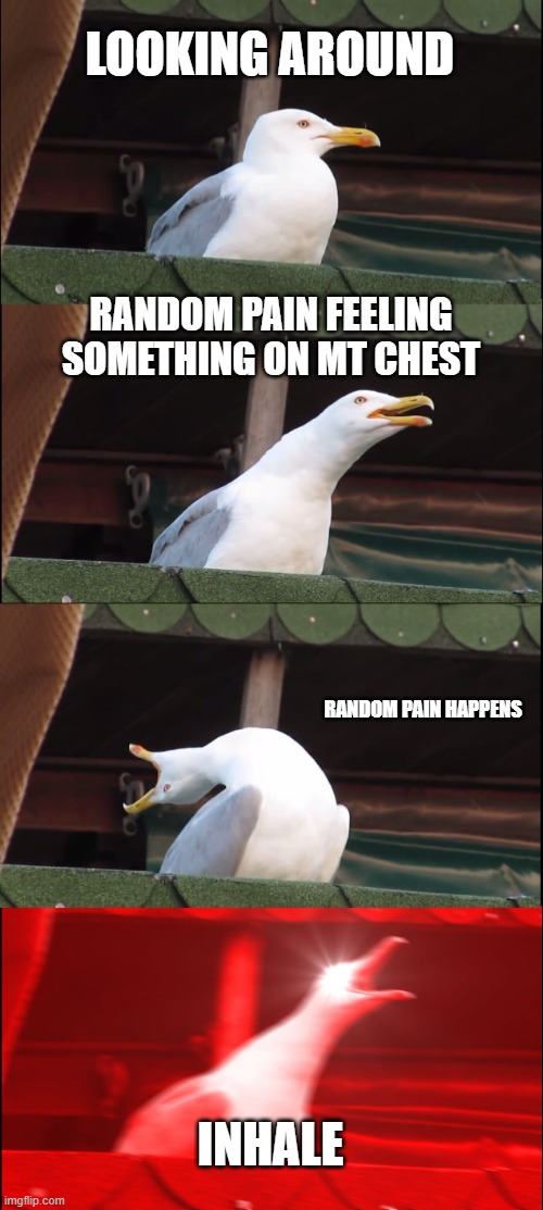 Inhaling Seagull | LOOKING AROUND; RANDOM PAIN FEELING SOMETHING ON MT CHEST; RANDOM PAIN HAPPENS; INHALE | image tagged in memes,inhaling seagull | made w/ Imgflip meme maker