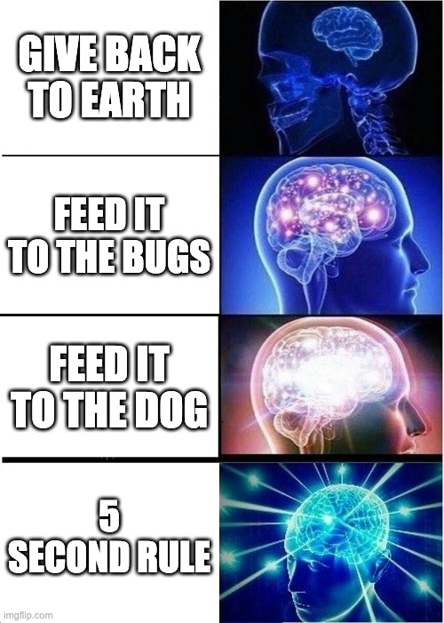 You spill your chocky milk | GIVE BACK TO EARTH; FEED IT TO THE BUGS; FEED IT TO THE DOG; 5 SECOND RULE | image tagged in memes,expanding brain,good | made w/ Imgflip meme maker