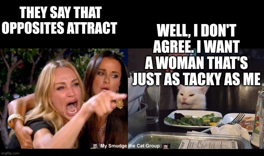 THEY SAY THAT OPPOSITES ATTRACT; WELL, I DON'T AGREE. I WANT A WOMAN THAT'S JUST AS TACKY AS ME | image tagged in smudge the cat,woman yelling at cat | made w/ Imgflip meme maker