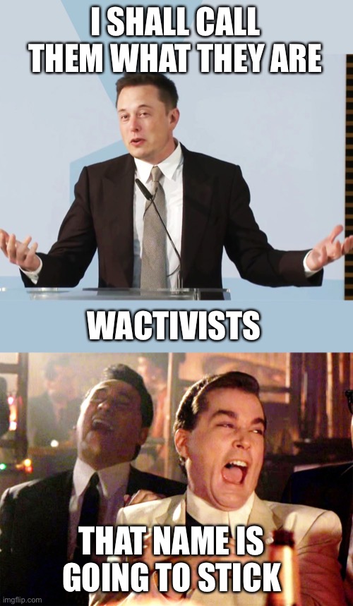 Score one for Elon! | I SHALL CALL THEM WHAT THEY ARE; WACTIVISTS; THAT NAME IS GOING TO STICK | image tagged in elon musk,memes,good fellas hilarious,wactivists | made w/ Imgflip meme maker