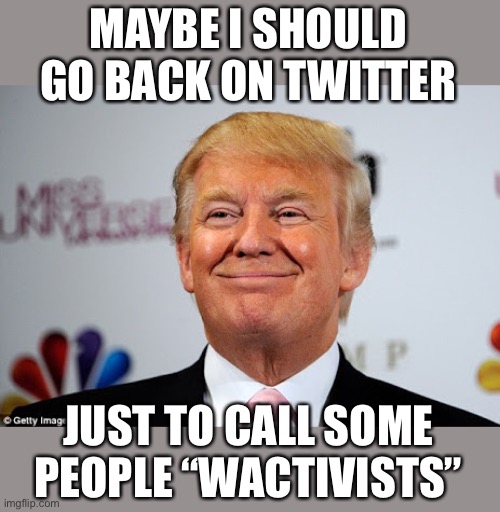 Make my day! |  MAYBE I SHOULD GO BACK ON TWITTER; JUST TO CALL SOME PEOPLE “WACTIVISTS” | image tagged in donald trump approves,twitter,wactivists | made w/ Imgflip meme maker