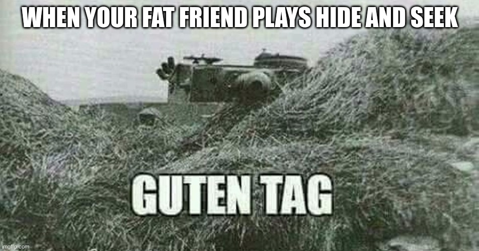 German guten tag tiger | WHEN YOUR FAT FRIEND PLAYS HIDE AND SEEK | image tagged in german guten tag tiger | made w/ Imgflip meme maker