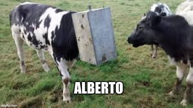 Alberto | image tagged in bruh | made w/ Imgflip meme maker