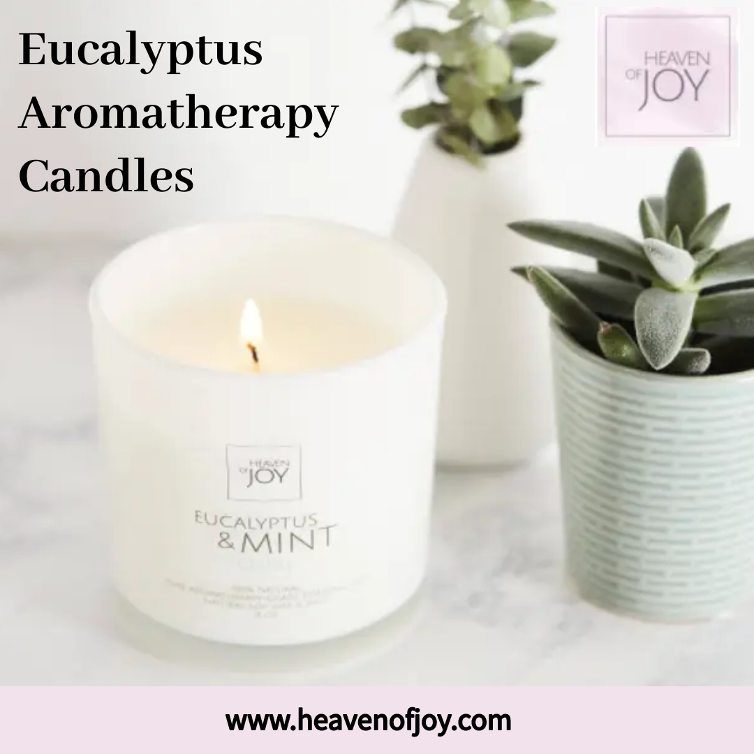 Eucalyptus Aromatherapy Candles Blank Meme Template