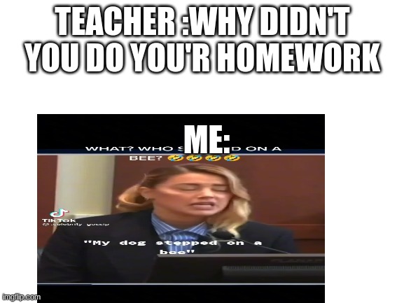 TEACHER :WHY DIDN'T YOU DO YOU'R HOMEWORK; ME: | image tagged in my dog stepped on a bee,freaksy hello there,why i didn't do my homework | made w/ Imgflip meme maker