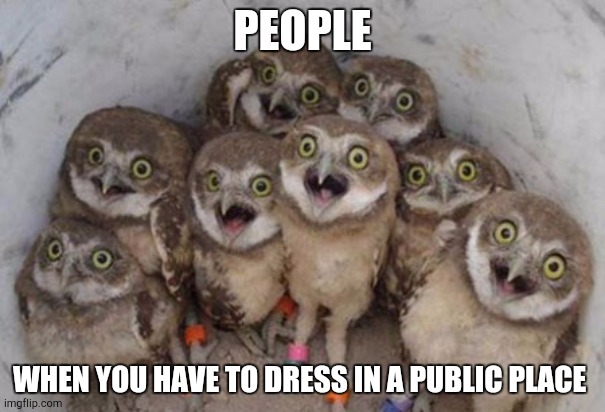 When you have to dress in a public place | PEOPLE; WHEN YOU HAVE TO DRESS IN A PUBLIC PLACE | image tagged in so cool,eyes,owl | made w/ Imgflip meme maker