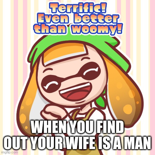 Terrific! Even better than woomy! | WHEN YOU FIND OUT YOUR WIFE IS A MAN | image tagged in terrific even better than woomy | made w/ Imgflip meme maker