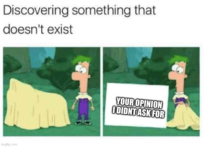 who asked? | YOUR OPINION I DIDNT ASK FOR | image tagged in discovering something that doesnt exist | made w/ Imgflip meme maker
