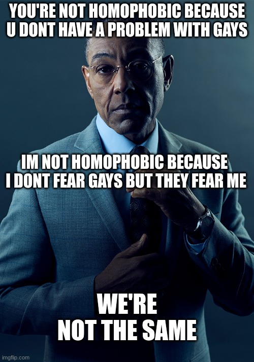 Homophobic :l |  YOU'RE NOT HOMOPHOBIC BECAUSE U DONT HAVE A PROBLEM WITH GAYS; IM NOT HOMOPHOBIC BECAUSE
 I DONT FEAR GAYS BUT THEY FEAR ME; WE'RE NOT THE SAME | image tagged in we are not the same,dankmemes,memes,funny,homophobic,know the difference | made w/ Imgflip meme maker