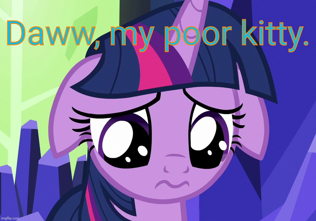 Sad Twilight (MLP) | Daww, my poor kitty. | image tagged in sad twilight mlp | made w/ Imgflip meme maker