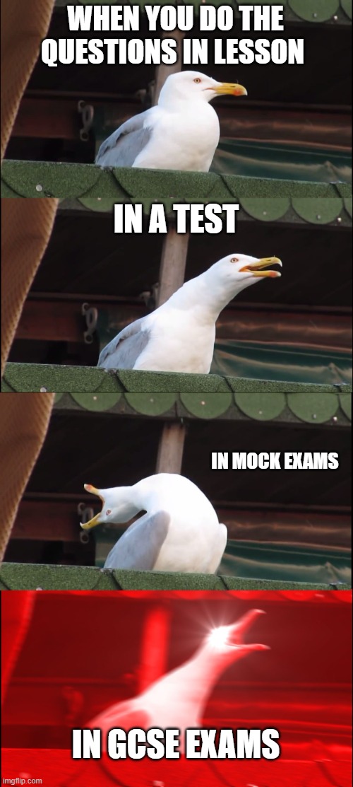 Inhaling Seagull |  WHEN YOU DO THE QUESTIONS IN LESSON; IN A TEST; IN MOCK EXAMS; IN GCSE EXAMS | image tagged in memes,inhaling seagull,exams,test,funny memes | made w/ Imgflip meme maker
