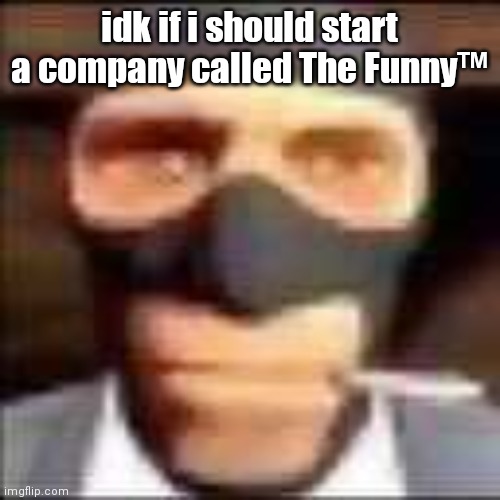 spi | idk if i should start a company called The Funny™ | image tagged in spi | made w/ Imgflip meme maker