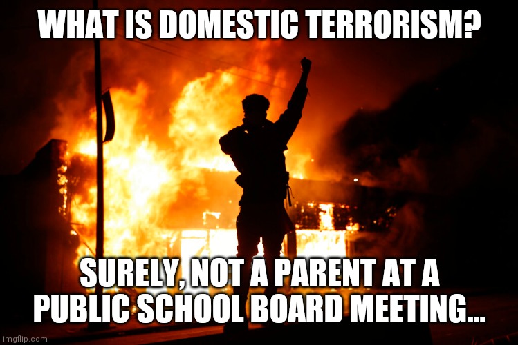 Domestic Terrorism | WHAT IS DOMESTIC TERRORISM? SURELY, NOT A PARENT AT A PUBLIC SCHOOL BOARD MEETING... | image tagged in freedom rings true,emotions,dark humor,you can't handle the truth,64 genders,oohhhmmm | made w/ Imgflip meme maker