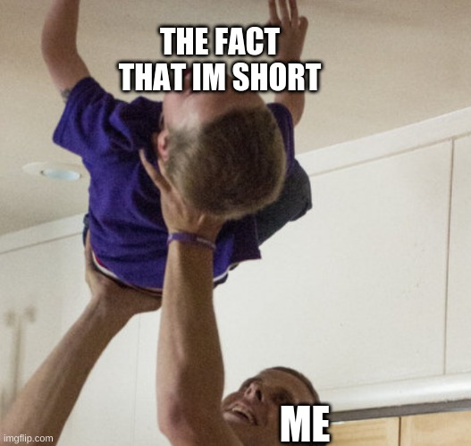 SMOL | THE FACT THAT IM SHORT; ME | image tagged in holding child | made w/ Imgflip meme maker