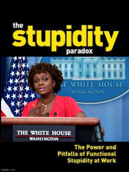 Stupid, Imposed on We the People | image tagged in press secretary,democrats,white house,biden,really stupid | made w/ Imgflip meme maker