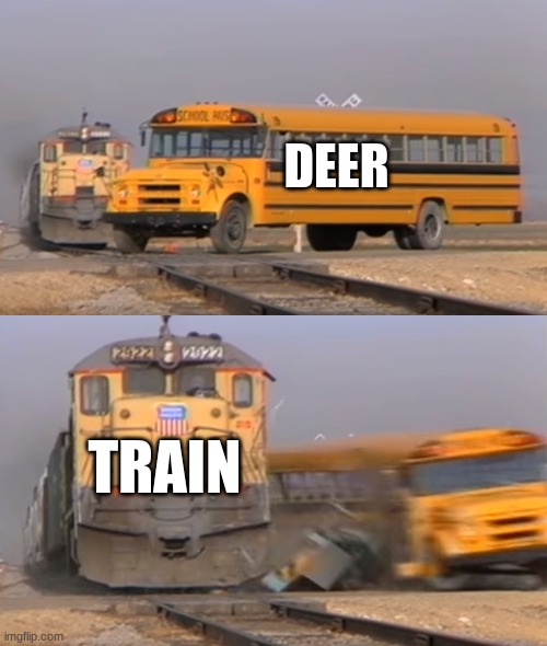 A train hitting a school bus | DEER TRAIN | image tagged in a train hitting a school bus | made w/ Imgflip meme maker
