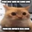 spoingus | PYRO JUST GAVE ME SOME LORE; FROM HIS INFINITE IKEA BOOK | image tagged in spoingus | made w/ Imgflip meme maker