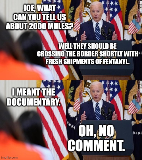 He was thinking about the 2000 drug mules. | JOE, WHAT CAN YOU TELL US ABOUT 2000 MULES? WELL THEY SHOULD BE CROSSING THE BORDER SHORTLY WITH FRESH SHIPMENTS OF FENTANYL. I MEANT THE DOCUMENTARY. OH, NO COMMENT. | image tagged in memes | made w/ Imgflip meme maker