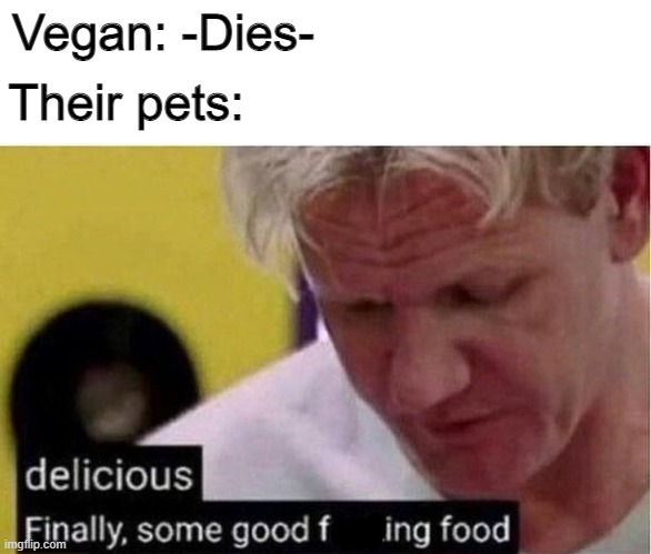 As long as you are still feeding your dog meat it's fine. |  Vegan: -Dies-; Their pets: | image tagged in finally some good food,memes,gordon ramsey | made w/ Imgflip meme maker